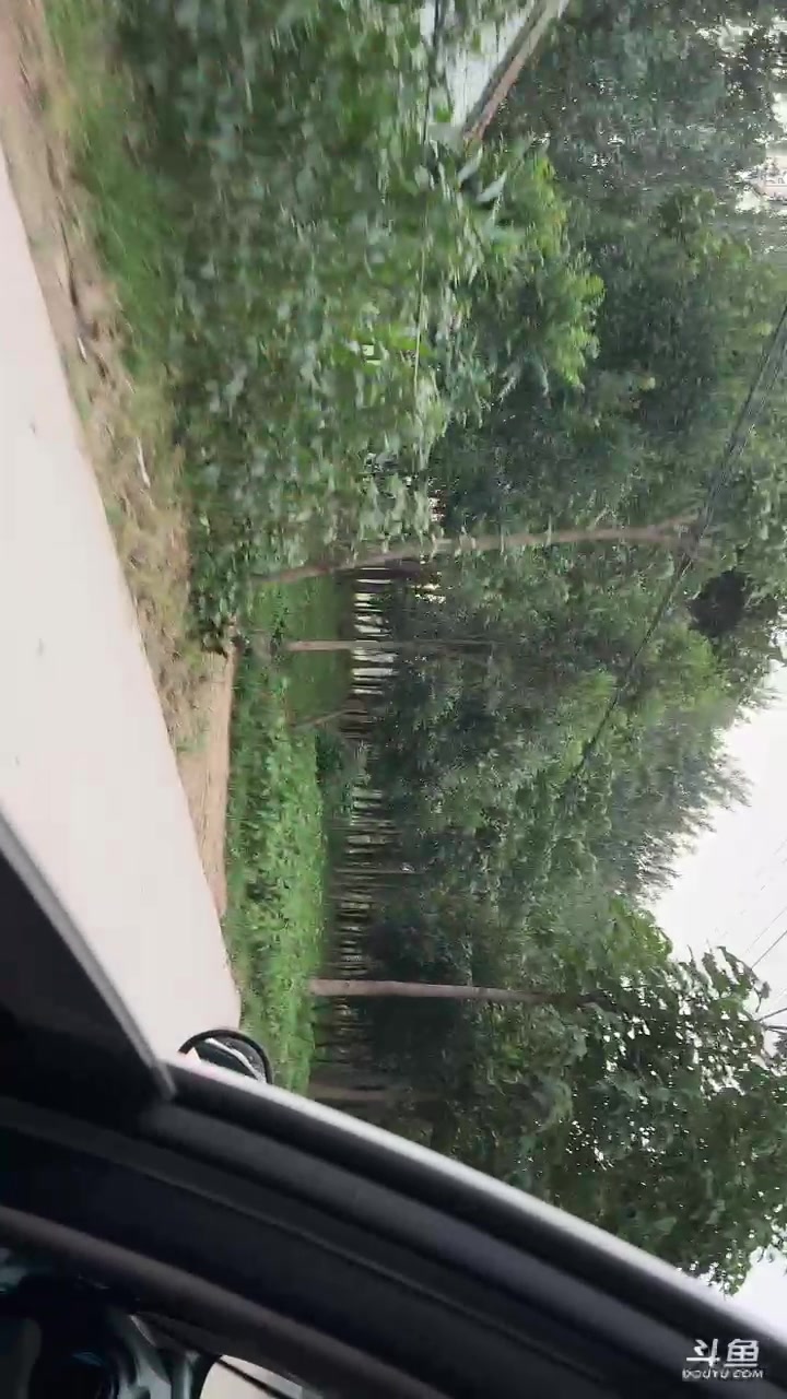 【2023-07-04 19点场】sakula吴润波：带你们去抓怕嚓