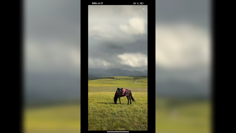今天在新疆的草原看风景，一匹马吃草，根本吃不完啊