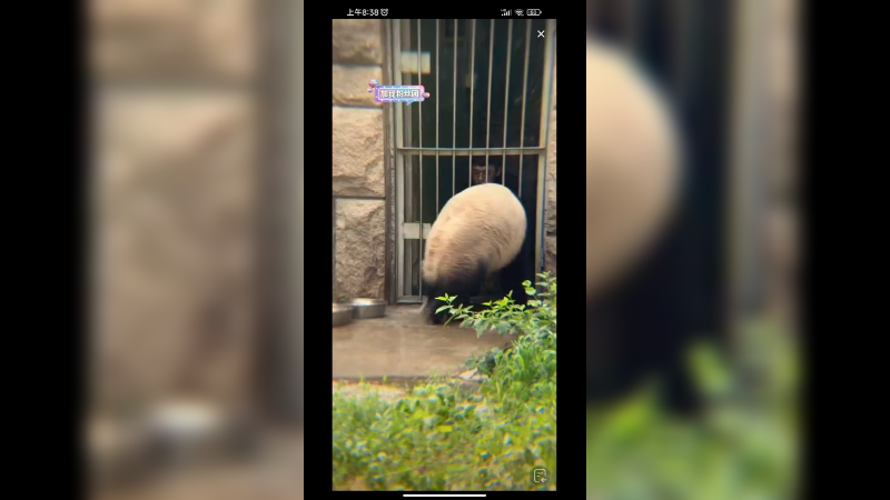 奶爸给萌二洗澡，萌二可爱啊