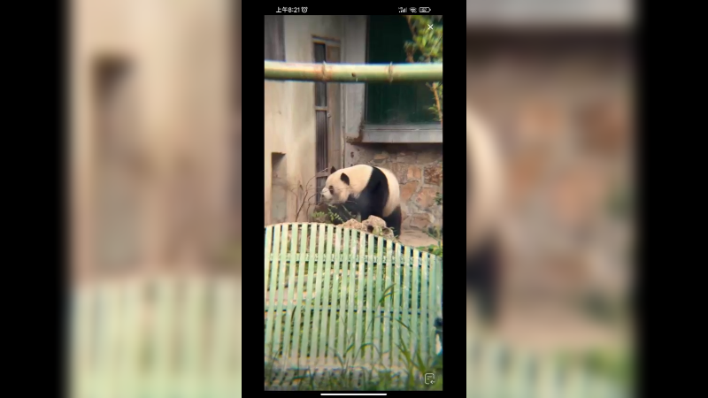 萌兰三太子好可爱啊想回去吹空调了