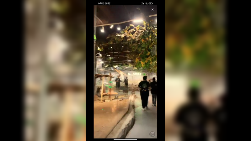 豚鼠的毛还是很好摸的，很可爱啊