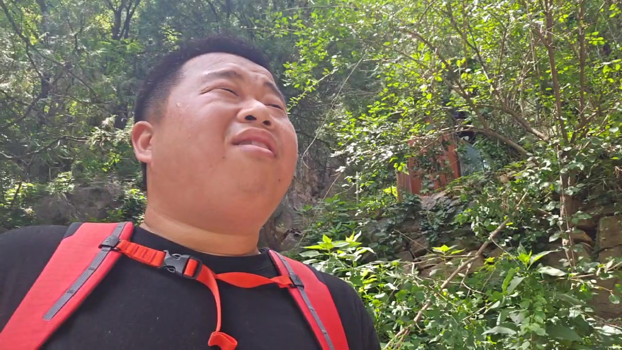 【2023-07-06 13点场】蓝战非OvO：今天爬泰山～环游第112天