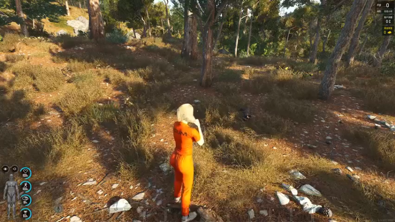 【2023-07-06 18点场】郑伟丶：娱乐性技术主播