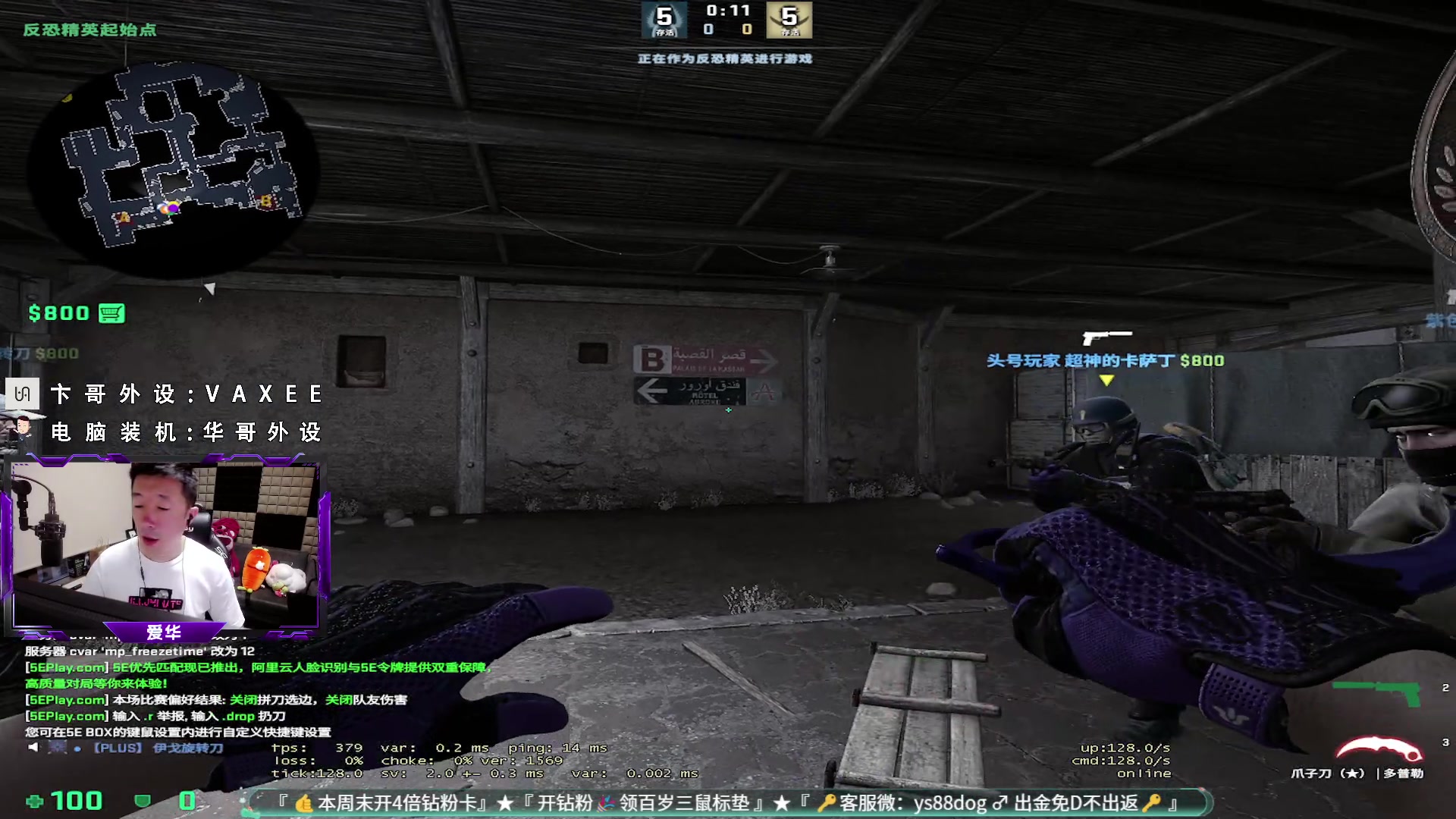 【2023-07-06 17点场】CSGO百岁三：9号XPL线下 13号Blast秋季