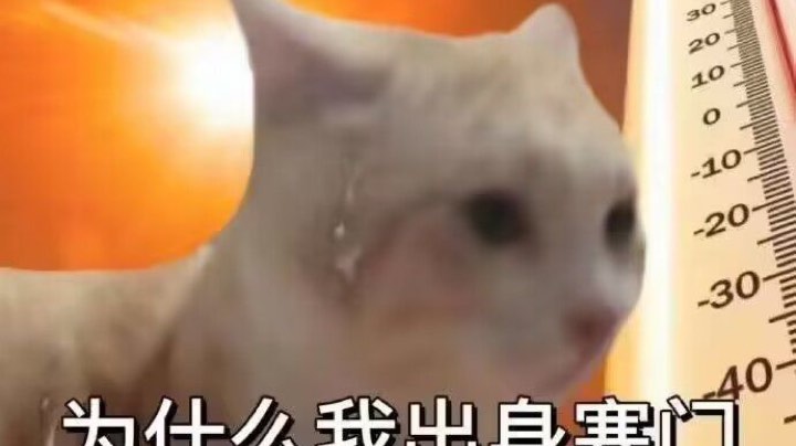【2023-7-7 20点场】四人血保的大C丶:新版本小C一下