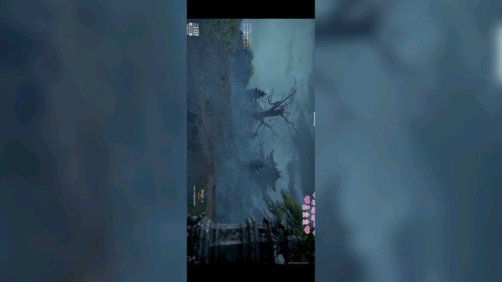 纪念一下修罗喵