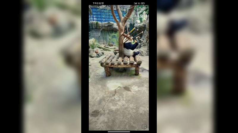 萌兰三太子的大哥萌大吃东西很快，先吃胡萝卜再吃苹果和竹笋