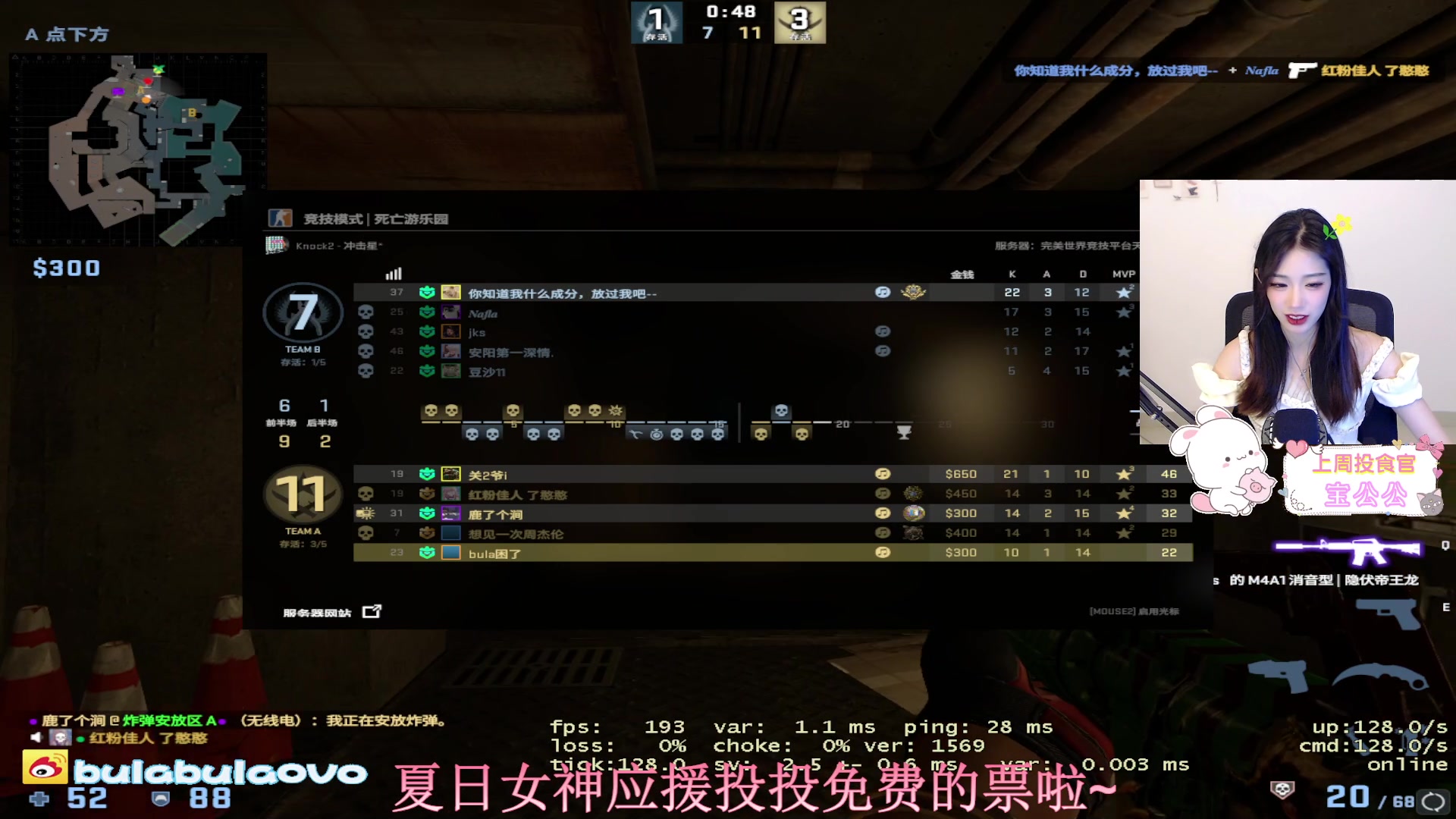 【2023-07-07 14点场】bulaQoQloo：【小奶团】夏日女神投投票吧~三点来