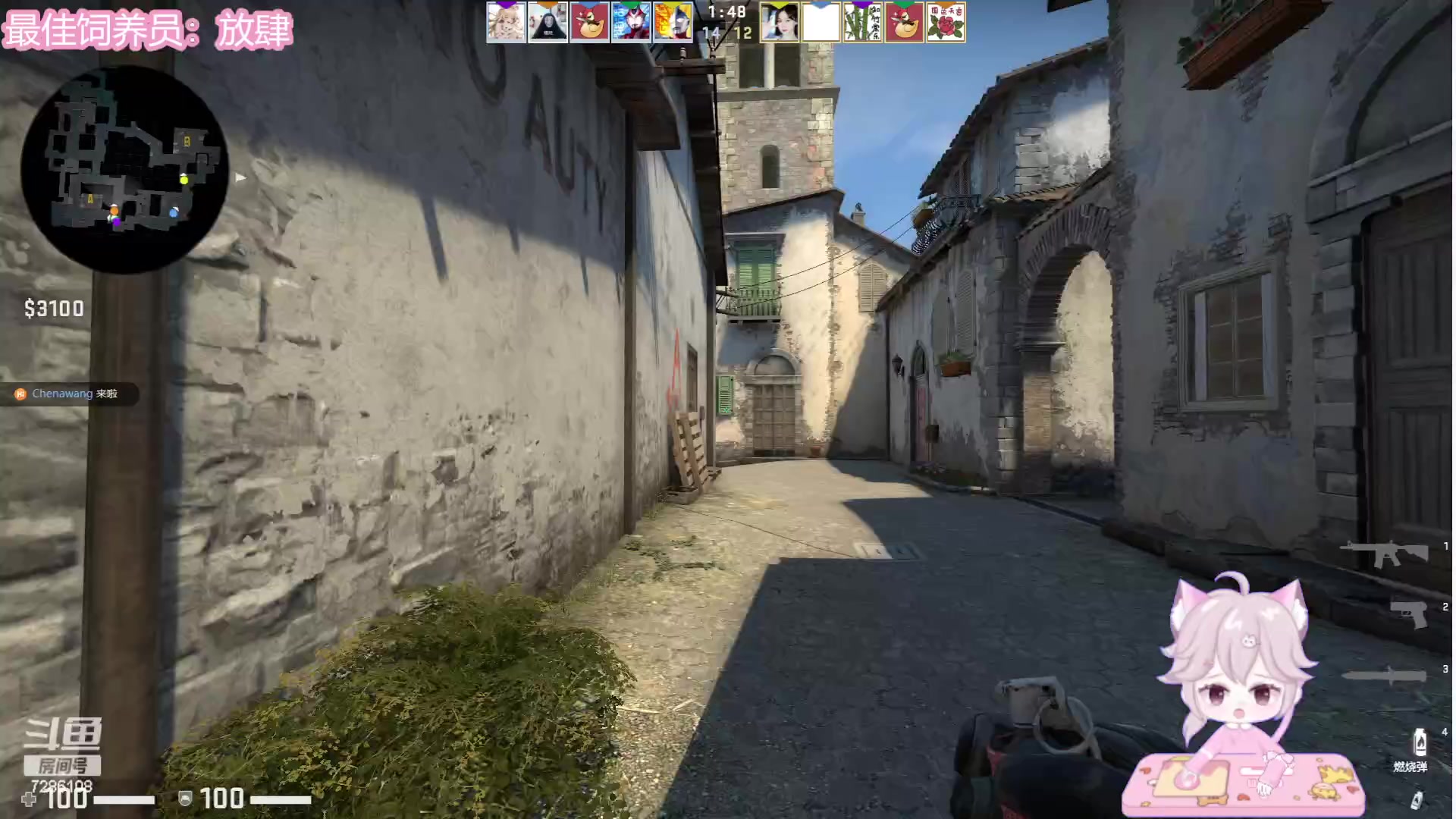 【2023-07-06 22点场】一只猛龙丶：鸡，龙，鸽，朝朝，小朋友组排