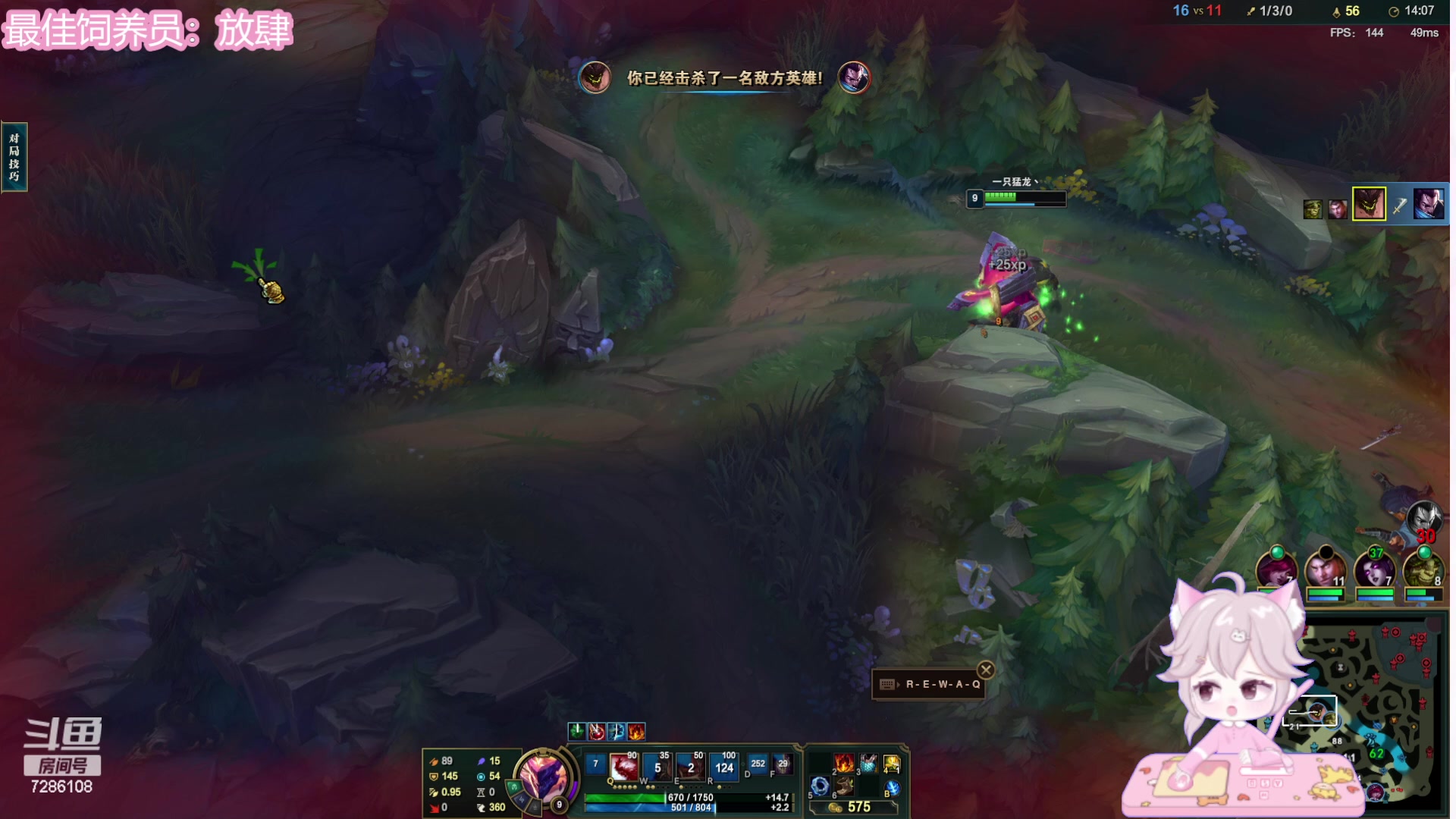 【2023-07-06 20点场】一只猛龙丶：鸡，龙，鸽，朝朝，小朋友组排