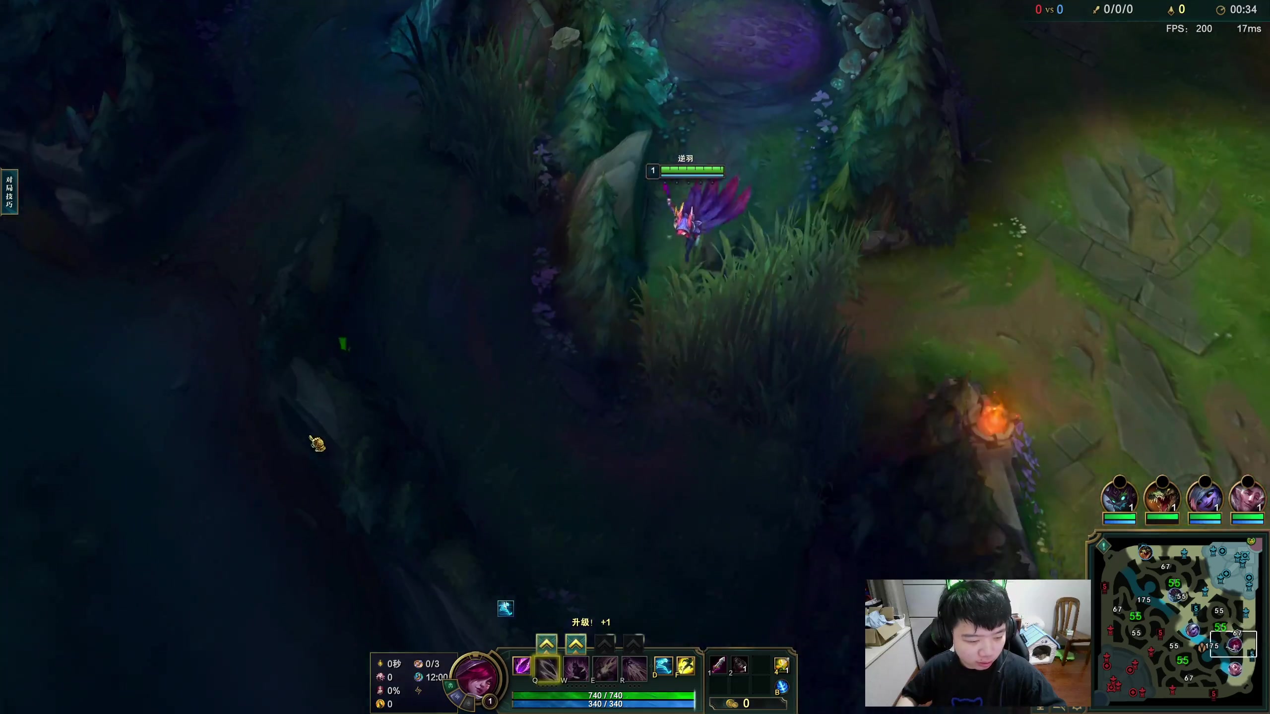 【2023-07-08 19点场】一家之猪ovo：一区王者灵活组排