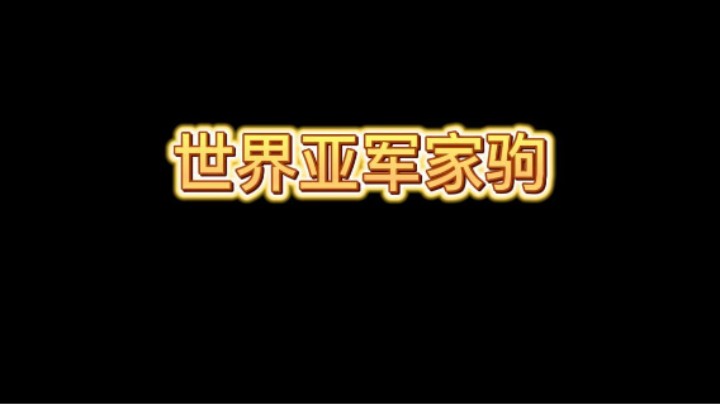 CRL世界亚军家驹操作