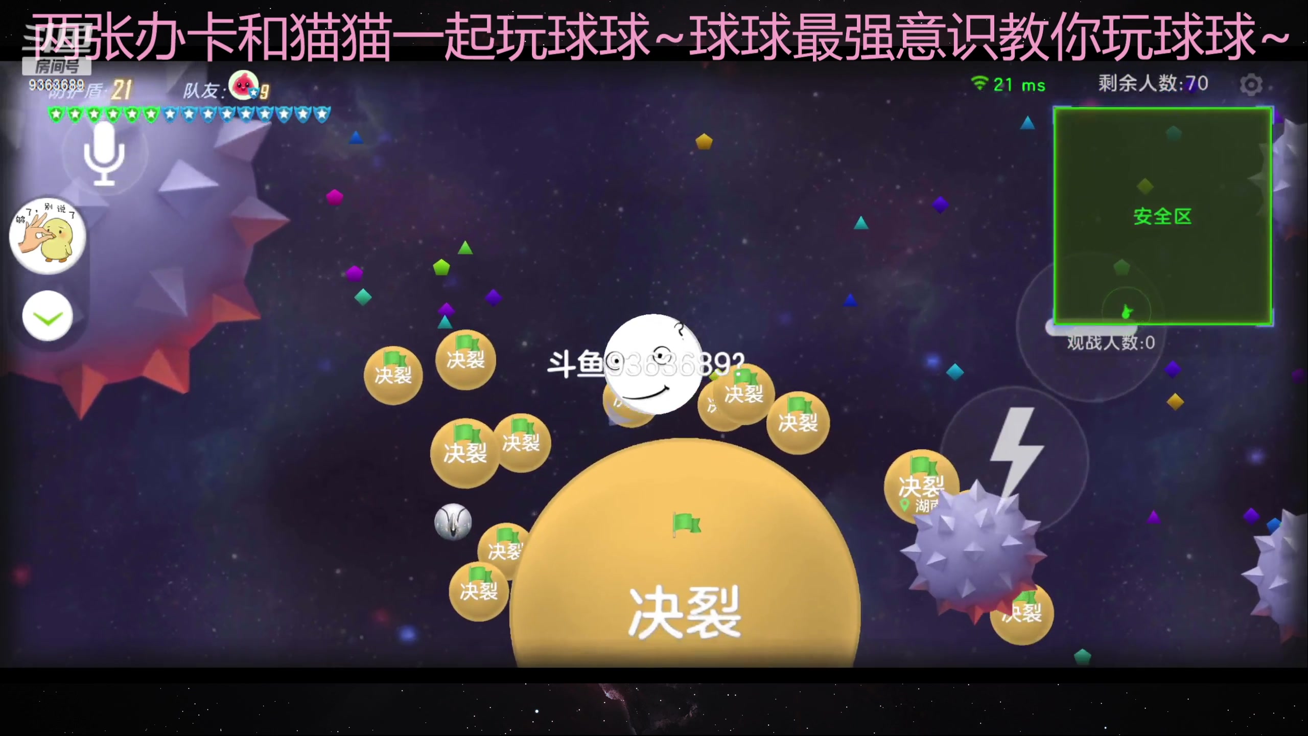 【2023-07-05 15点场】摘星星的猫咪：这就是猫猫吗