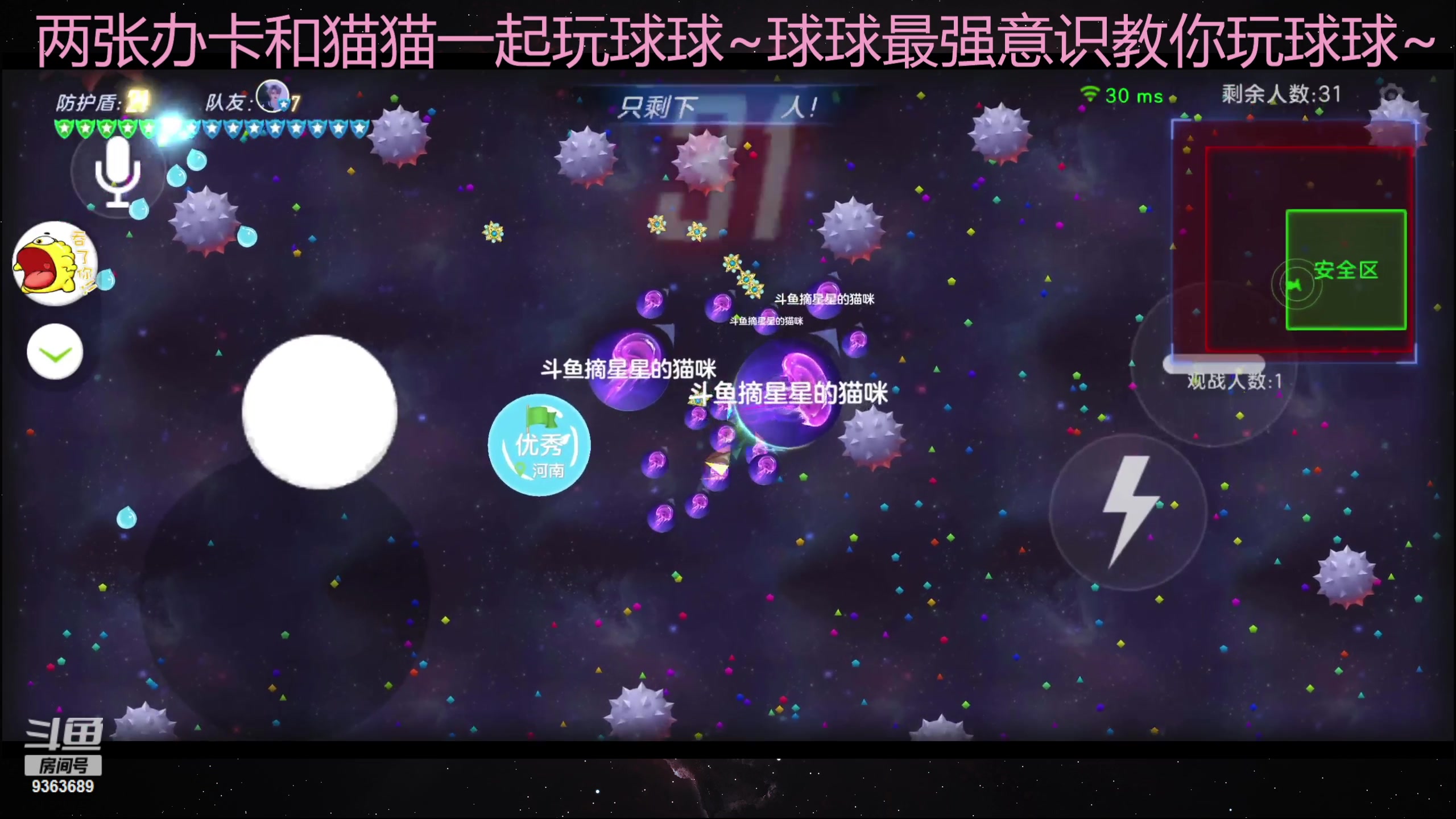 【2023-07-05 17点场】摘星星的猫咪：这就是猫猫吗