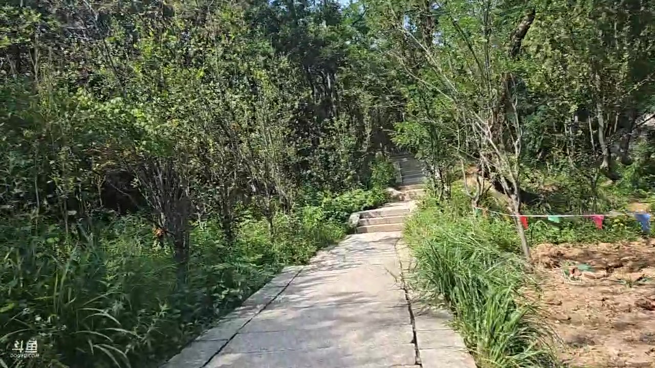 【2023-07-10 14点场】蓝战非OvO：爬青岛崂山巨峰～环游第116天