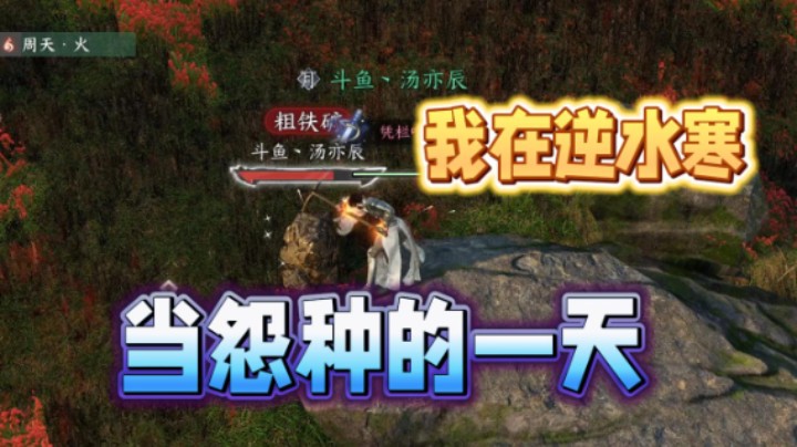 我在逆水寒当怨种的一天
