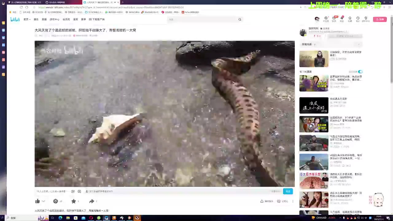 【2023-07-11 20点场】迷人的卿姐姐i：欢乐的时光开始啦~~~