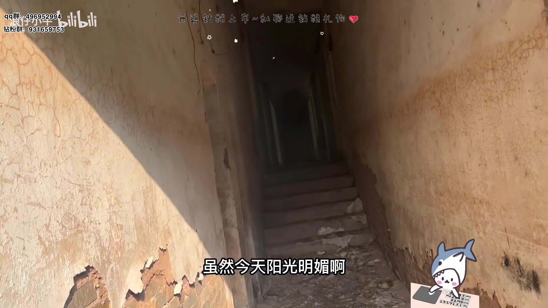 【2023-07-12 18点场】宝贝鱼O3O：记住是记住了 就是想不起来