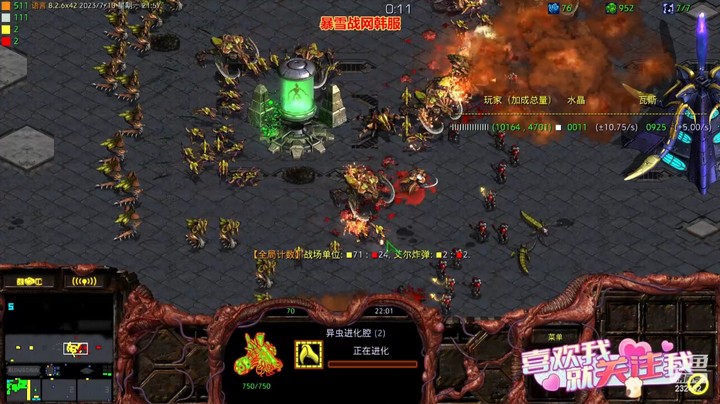 天使风暴专业版DSA8.2.6x42 12