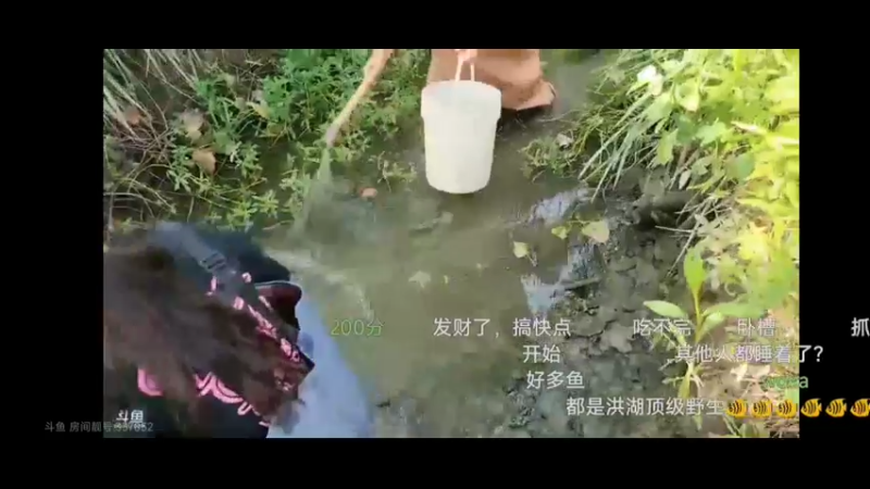 女主播抓鱼，小梦仙走不动太难了