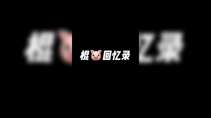 棍猪回忆录