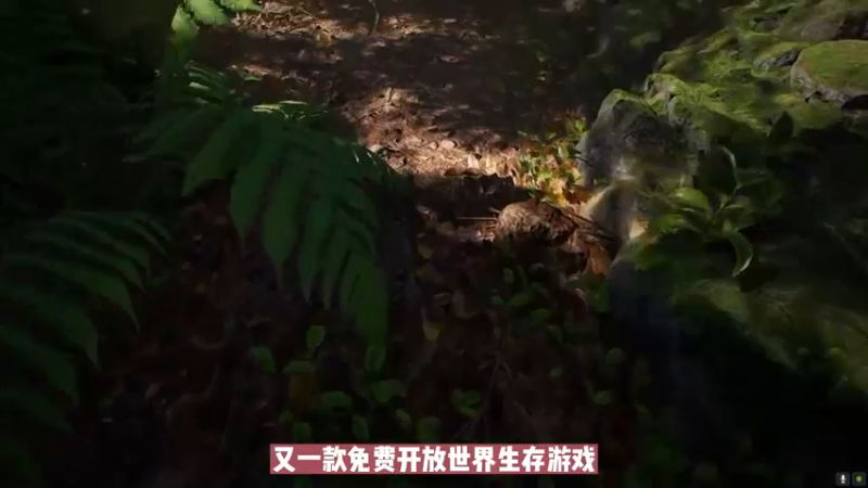 steam游戏-这饼摊的有点大啊，一款开放世界生存游戏到底有多疯狂 steam游戏 单机游戏 游戏推荐