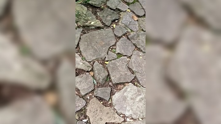 1这个b发布了一个斗鱼视频2023-07-12