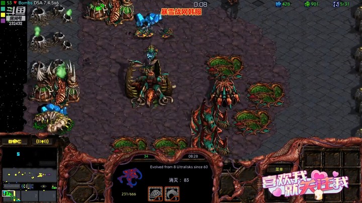 天使风暴专业版DSA8.2.6x42 18