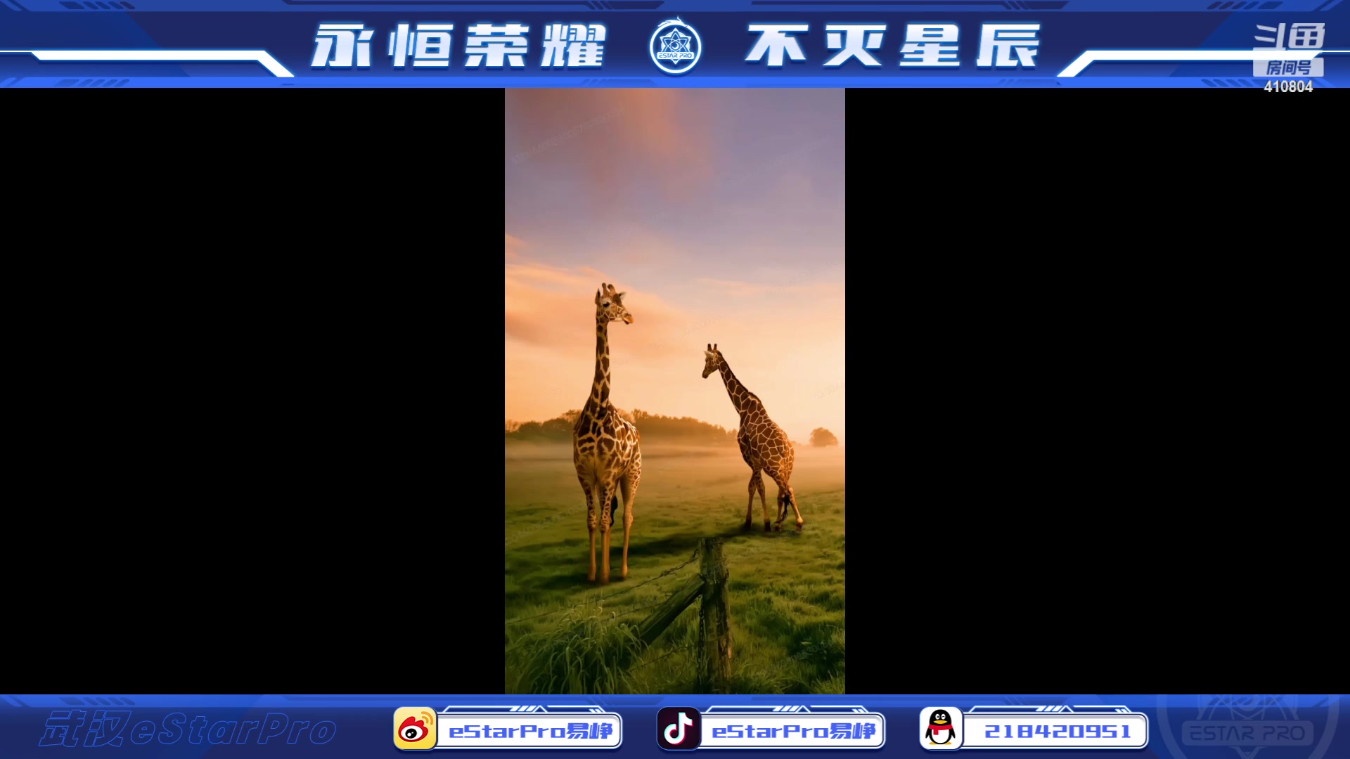 【2023-07-12 13点场】eStarPro易峥：啊哦噢噢噢噢！