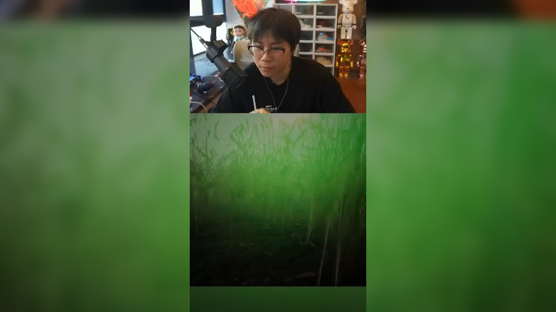 点进来收听周姐豪猪叫！