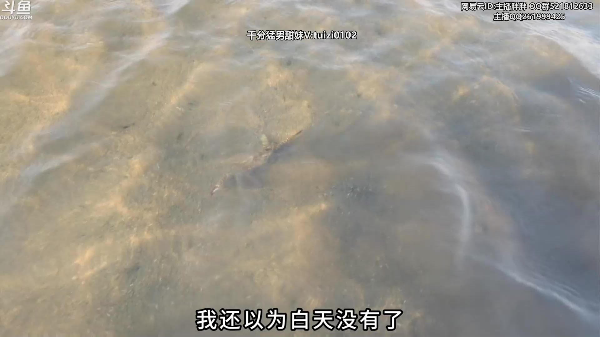 【2023-07-13 02点场】胖胖灬：胖胖OB：神的VN 正在排位！