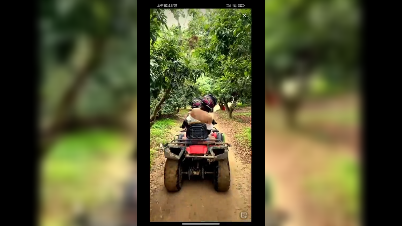 山地车游玩很快乐，喜欢开摩托车的可以啊