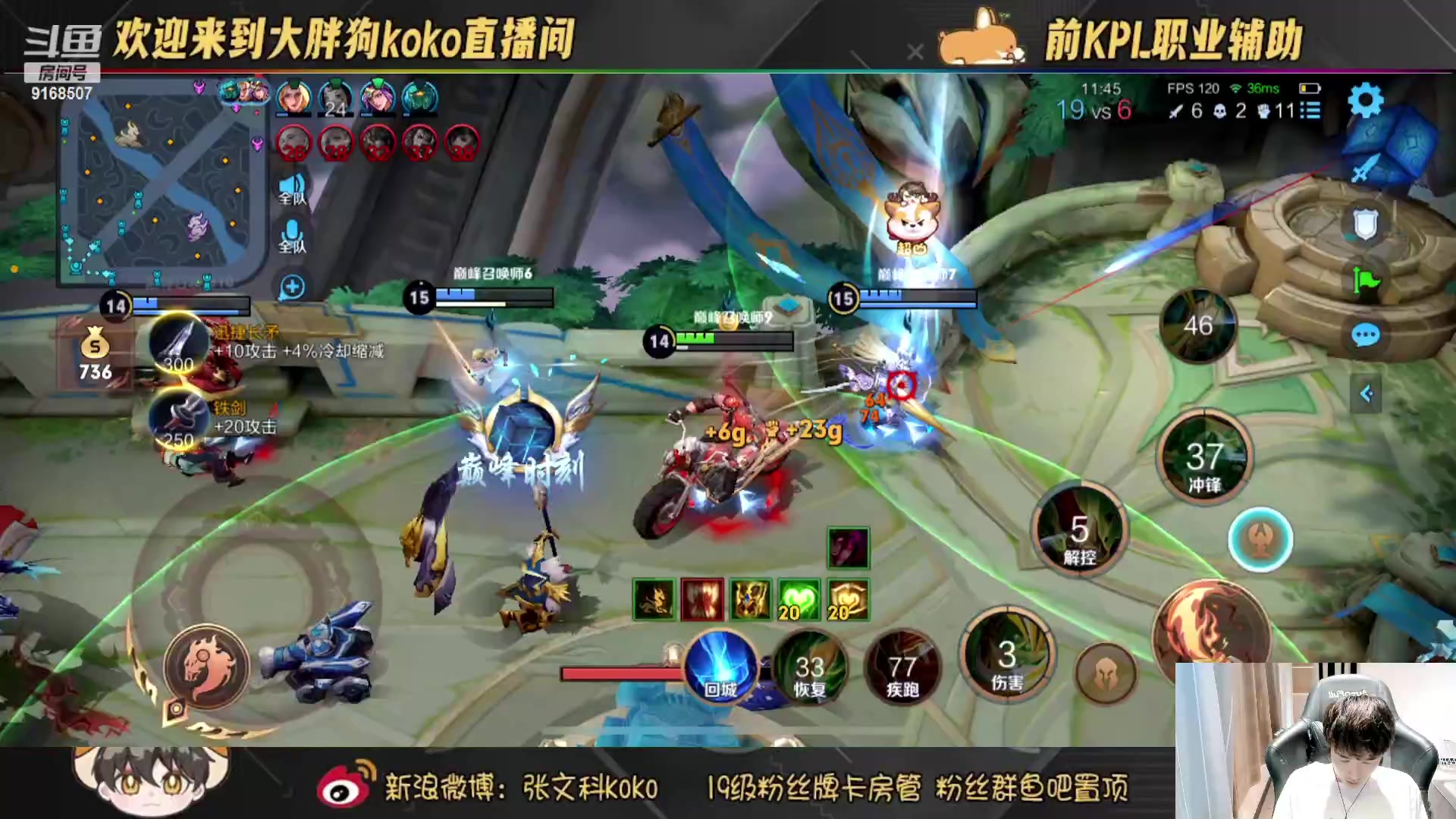 【2023-07-13 17点场】大胖狗koko：（101段辅助） 元气满满 快乐传递