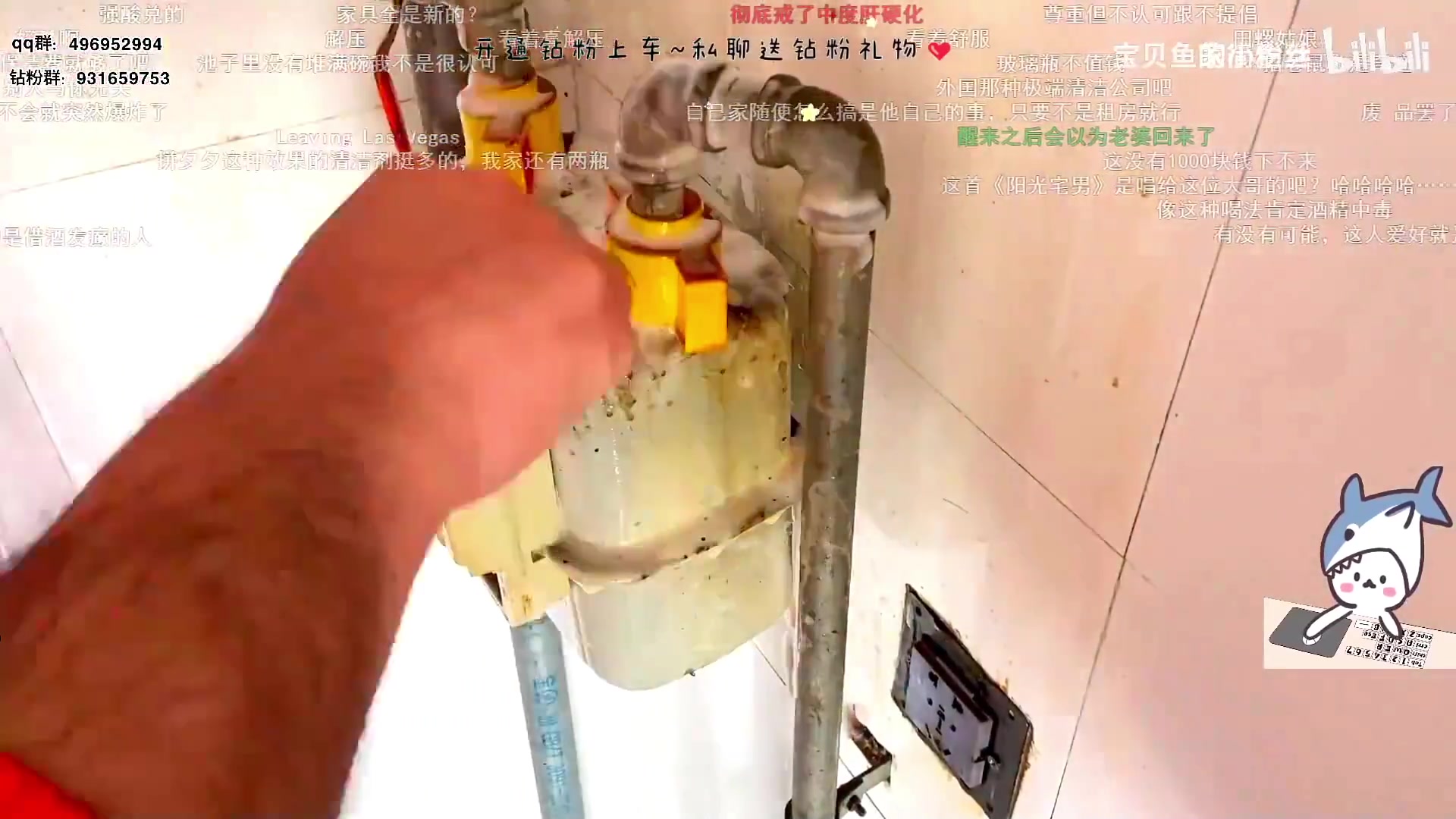 【2023-07-13 18点场】宝贝鱼O3O：全世界都是逆袭 就我在变异