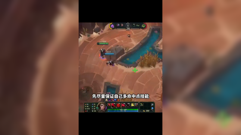 两只小菊，双倍快乐！