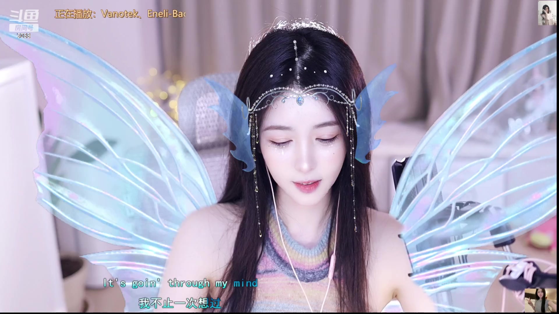 【2023-07-15 16点场】晒网的慧儿呀：小狗要努力打工呀