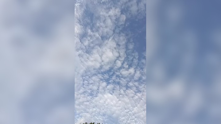 手机像素不好。