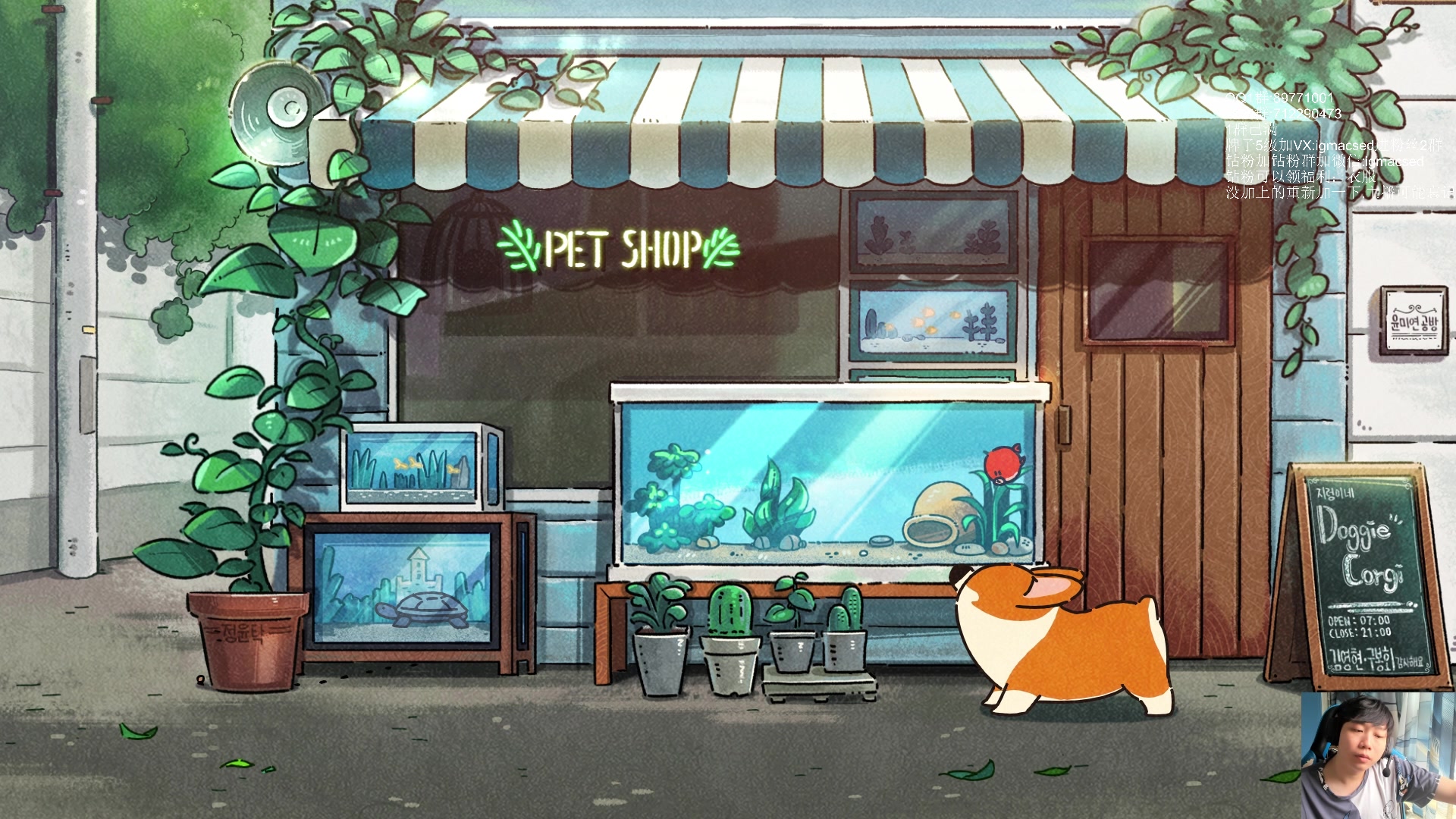 【2023-07-15 14点场】igmacsed：先看time打比赛