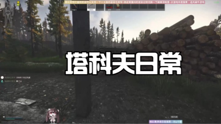 塔科夫日常
