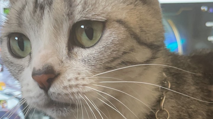 【2023-7-12 16点场】格诺天天开心:前职业选手五排车