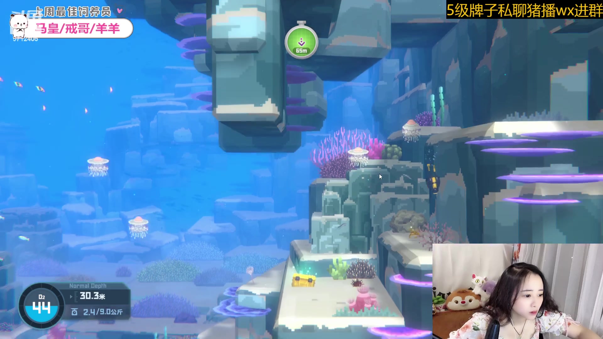 【2023-07-12 15点场】惠娜娜呀：【小奶团】愿每天如期而至~