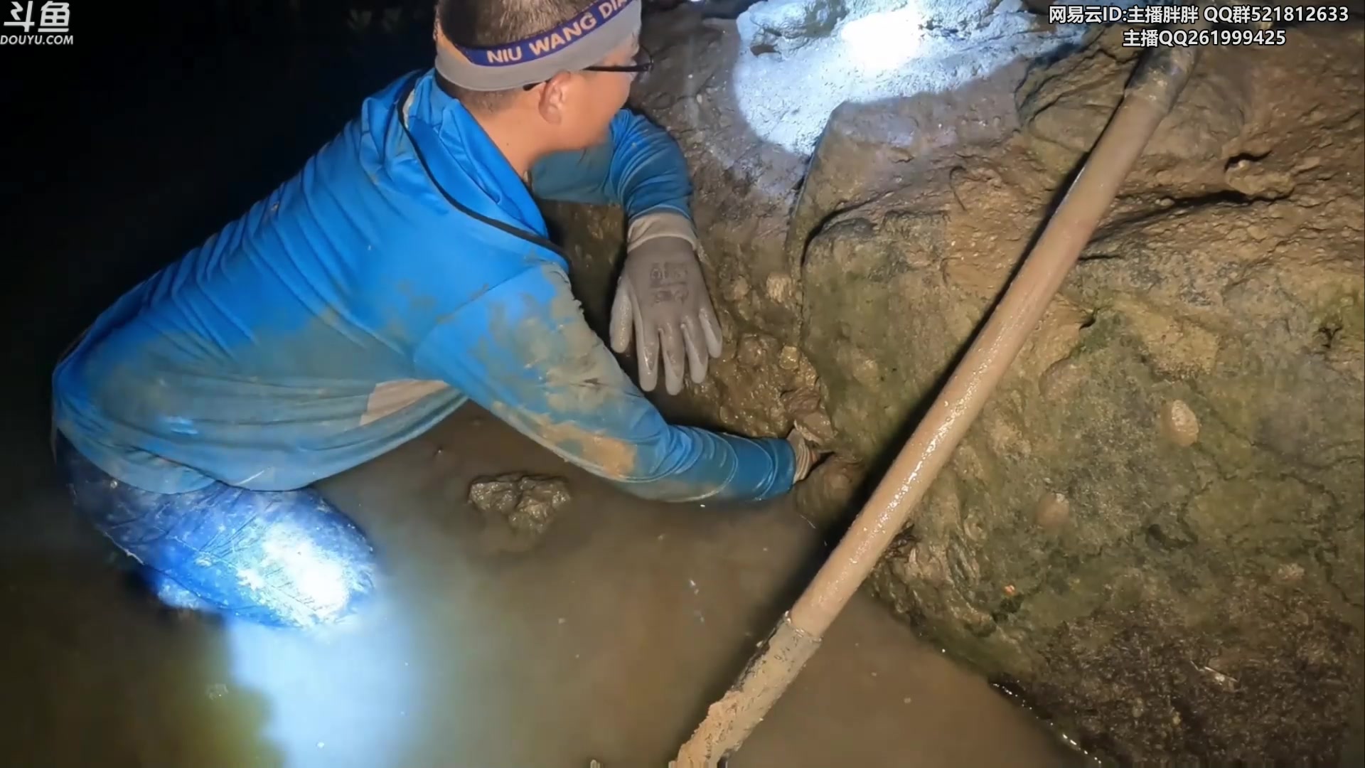 【2023-07-18 03点场】胖胖灬：胖胖OB：WBG强啊，EDG VS WE