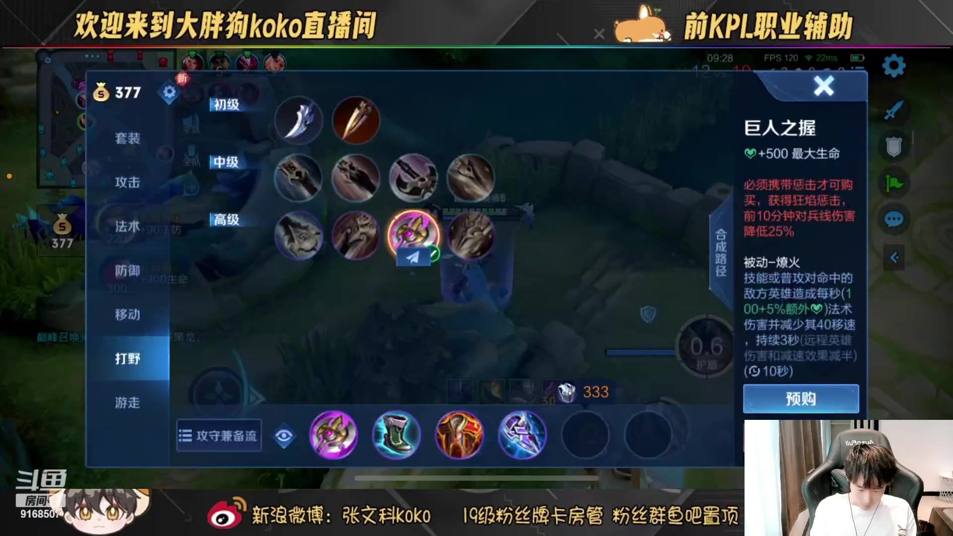 【2023-07-18 15点场】大胖狗koko：（101段辅助） 元气满满 快乐传递