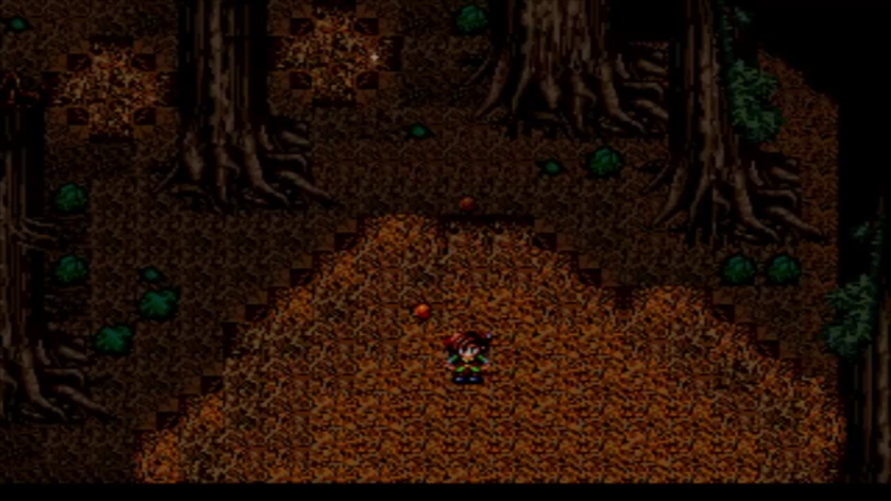 MD太阳码头 12松林