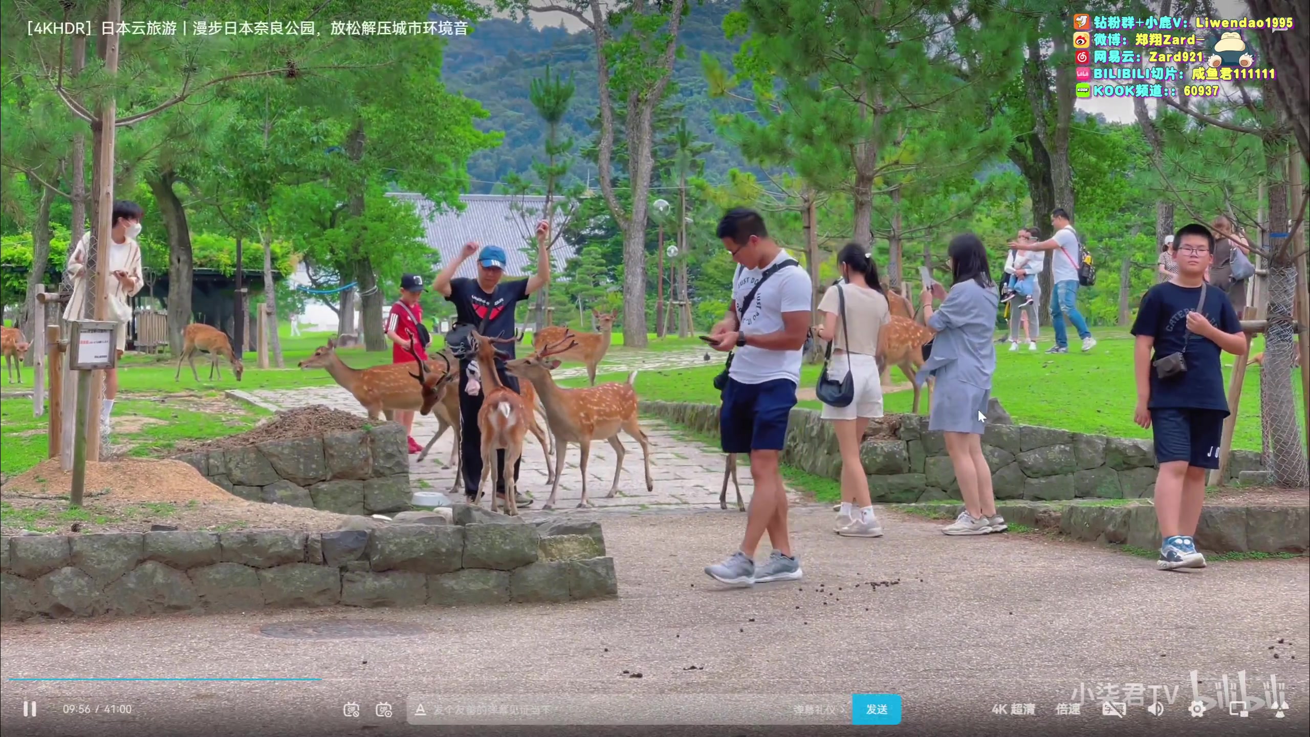 【2023-07-18 00点场】zard1991：Zard1991 chill dude