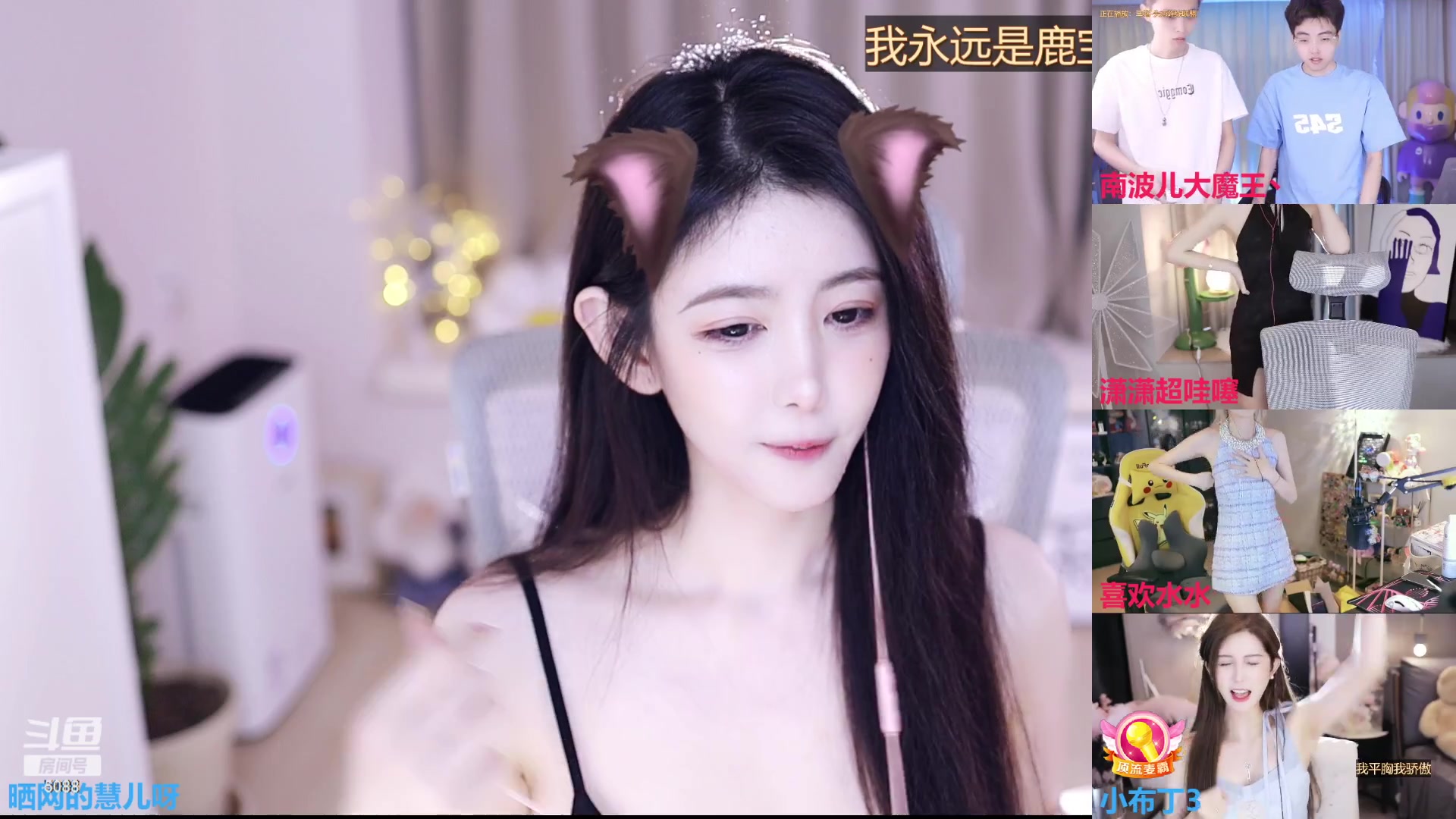 【2023-07-18 16点场】晒网的慧儿呀：小狗努力打工叭