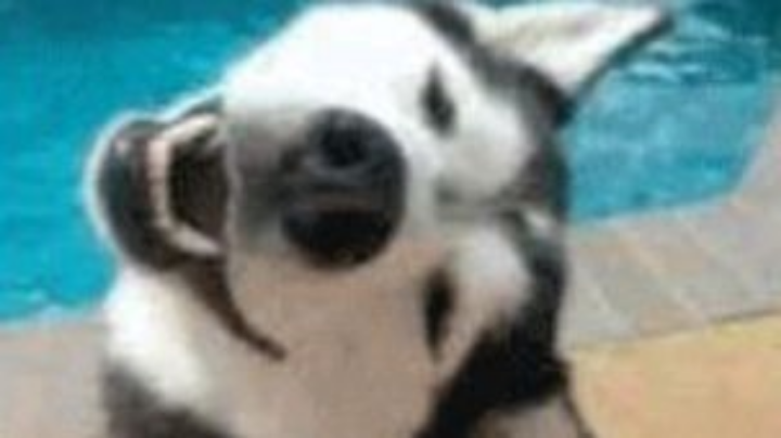 【2023-7-17 20点场】白起Baiq1wow:打打天梯，有车位，可来可上