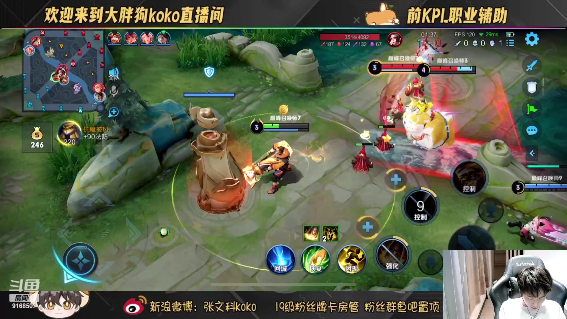 【2023-07-18 21点场】大胖狗koko：（101段辅助） 元气满满 快乐传递