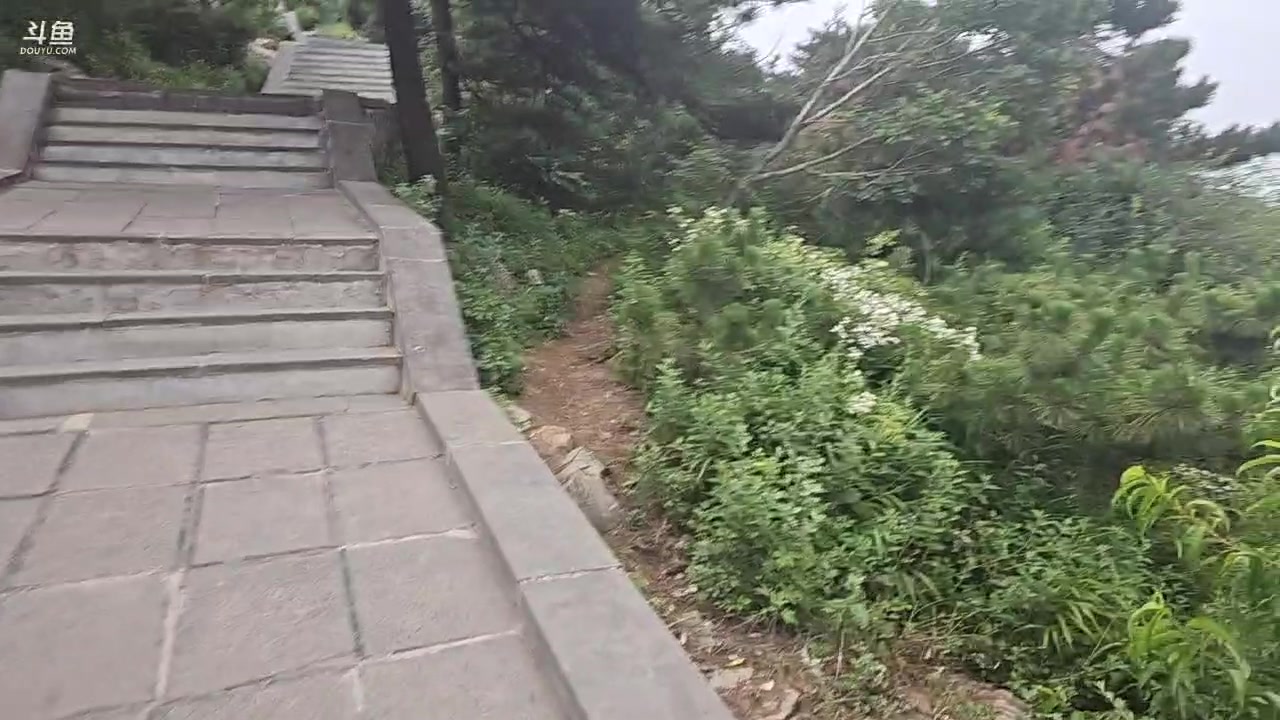 【2023-07-19 16点场】蓝战非OvO：河南嵩山～环游第123天