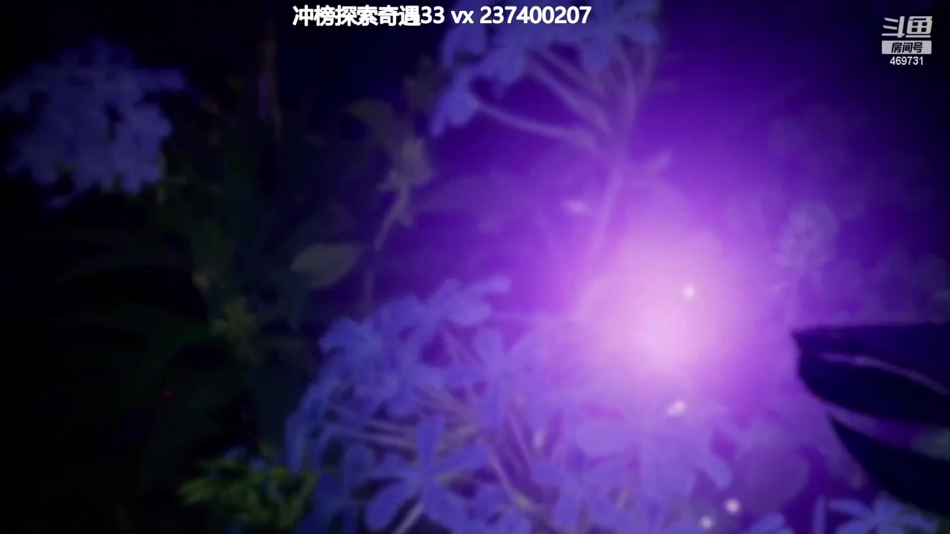 【2023-07-19 21点场】酸酸酸奶君：【呆猪】新人主播！